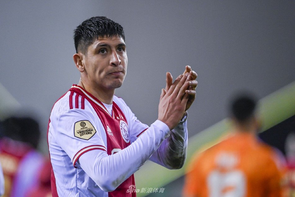 花交织的赛 花交织的赛