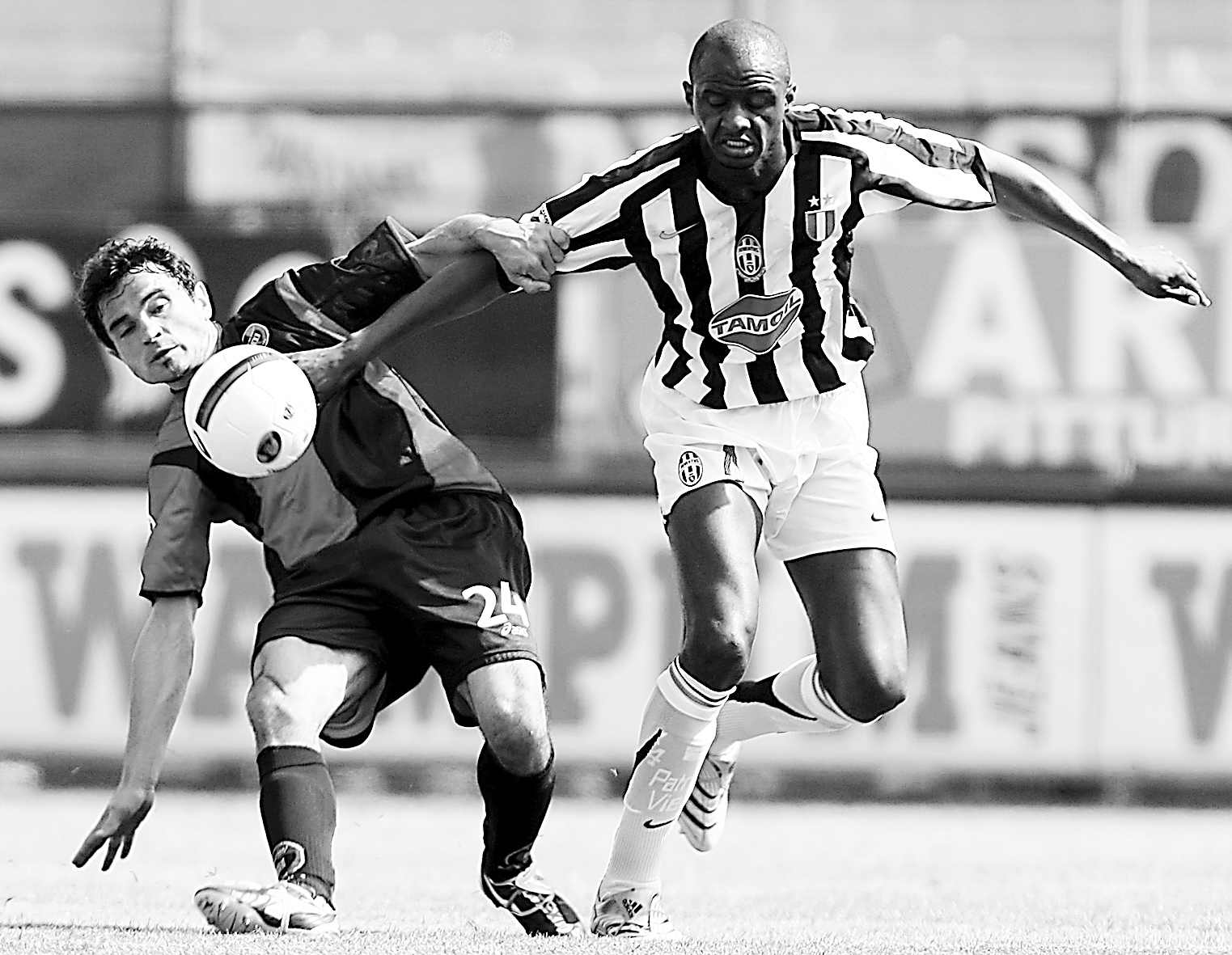 做的排骨包 做的排骨包