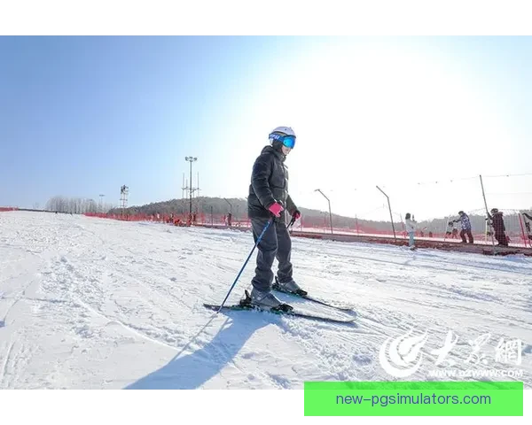 冰雪高峰：挑战极限，畅享高山滑雪的无限乐趣