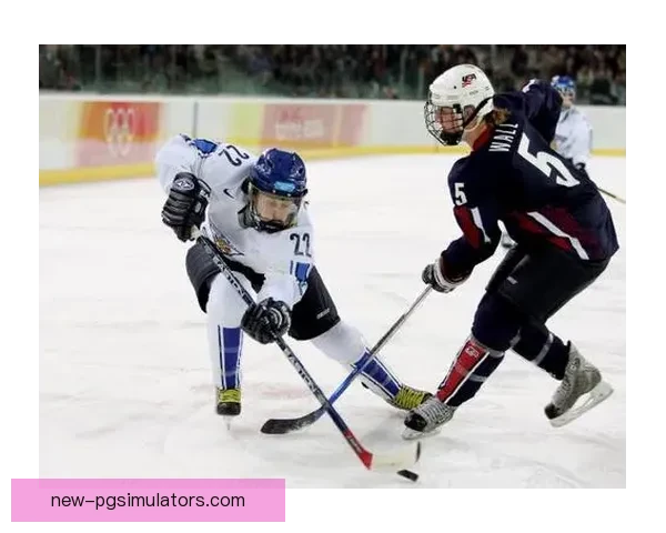 冰球公开赛：冰上热血激战，风暴般的冰上对决