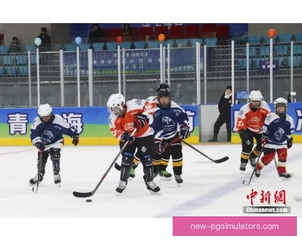 冰球对战策略解析与技术对抗研究