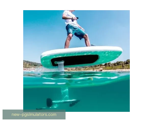 冲浪爱好者的入门指南：学会正确选择冲浪板和技巧