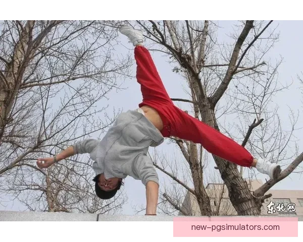 强者对决：挑战健身极限，谁能问鼎巅峰？