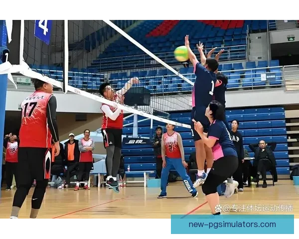 排球规则解读及比赛技巧分享