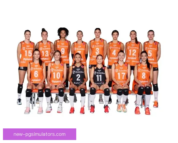 排球杯赛风云再起：巅峰对决谁能称霸