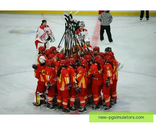 探讨冰球排名及其影响因素