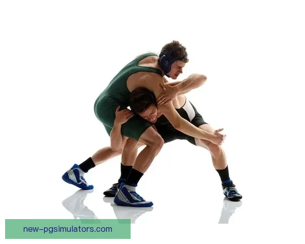 摔跤规则解析及应用技巧分享