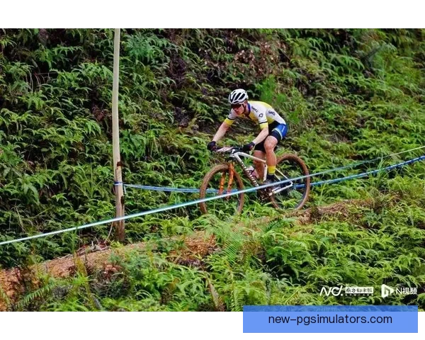 最新自行车赛事资讯：骑行风云再起，速度与激情掀起热潮