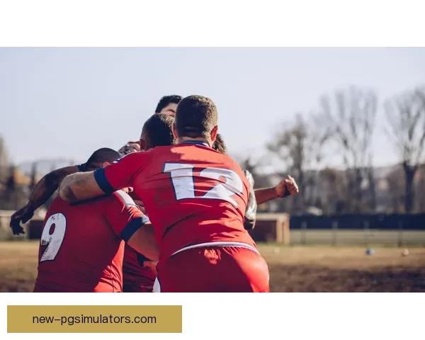 橄榄球冠军的辉煌荣耀：传奇故事与胜利之路