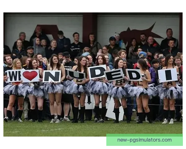 激情橄榄球盛宴：大奖赛掀起风暴