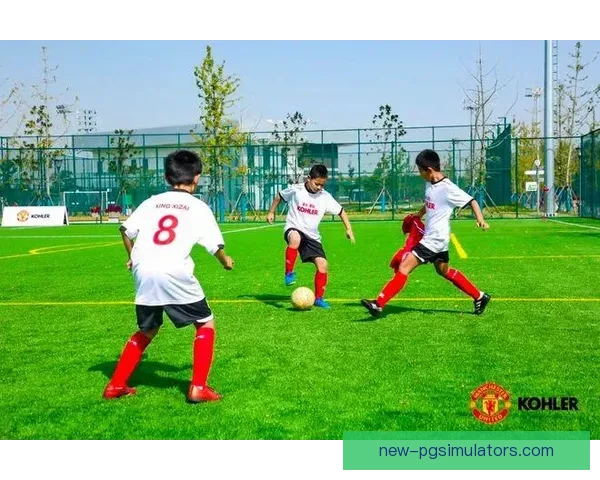 橄榄球积分榜盘点：强队逐鹿，实力对决势如破竹