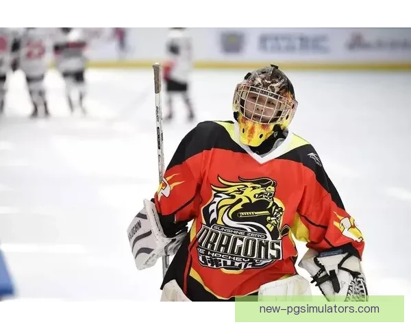 瞬间燃爆！冰球直播全方位解析，精彩瞬间一网打尽