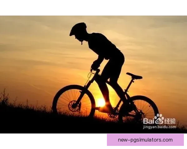 自行车数据分析：骑行习惯与城市交通规划的关联研究