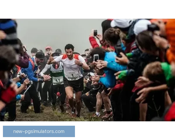 越野跑投注技巧大揭秘：让你成为赛道上的王者